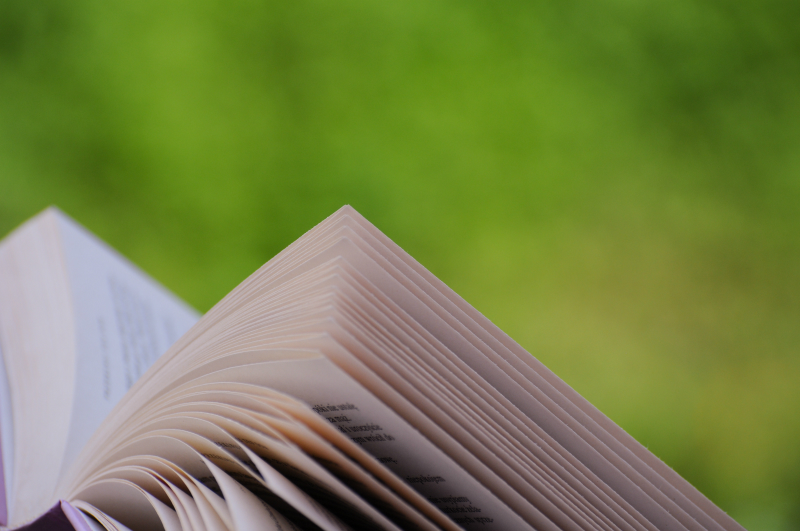 Summer reading recap